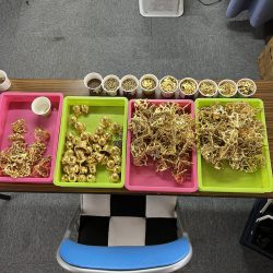 曹洞宗用津院様　瓔珞修理